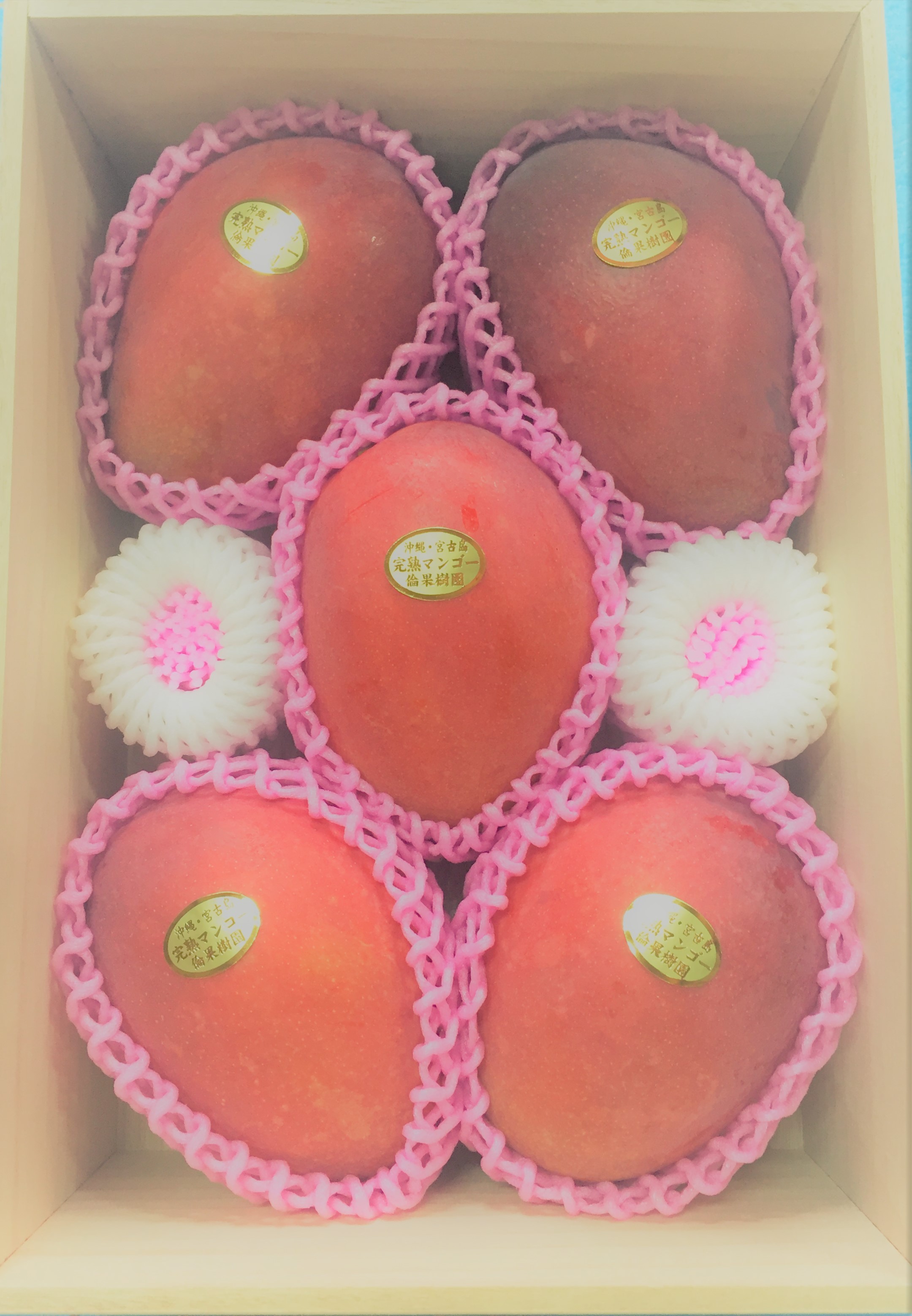 宮古島産マンゴー 特秀品2.5kg（木箱入） | RIN−KAJUEN