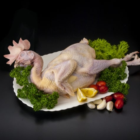 丸鶏（約1.3kg）