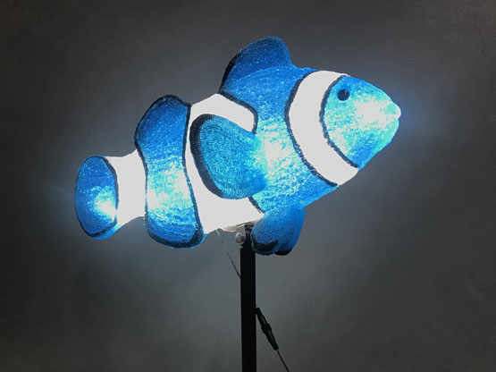 カクレクマノミ ブルー | ドリームチャンネル