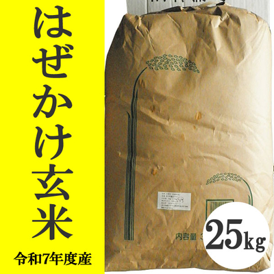 無肥料無農薬米（自然栽培米）はぜかけ米　玄米25kg