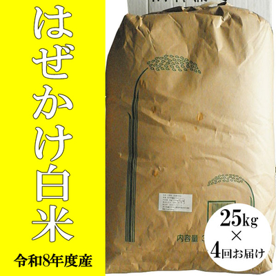 はぜかけ白米25キロ　年間予約3か月毎(年4回)お届け