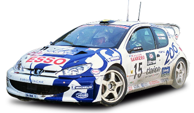  SAN STAR 1/18 プジョー 206 WRC  1999年 ラリーサンレモ 2位  #15 G.Panizzi/H.Panizzi