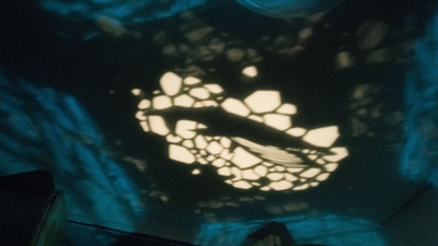 「under the sea」追加蓋　シロナガスクジラ
