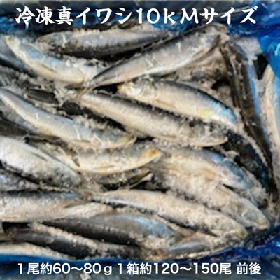 冷凍イワシ10ｋ（送料無料）　　　各サイズ業務用