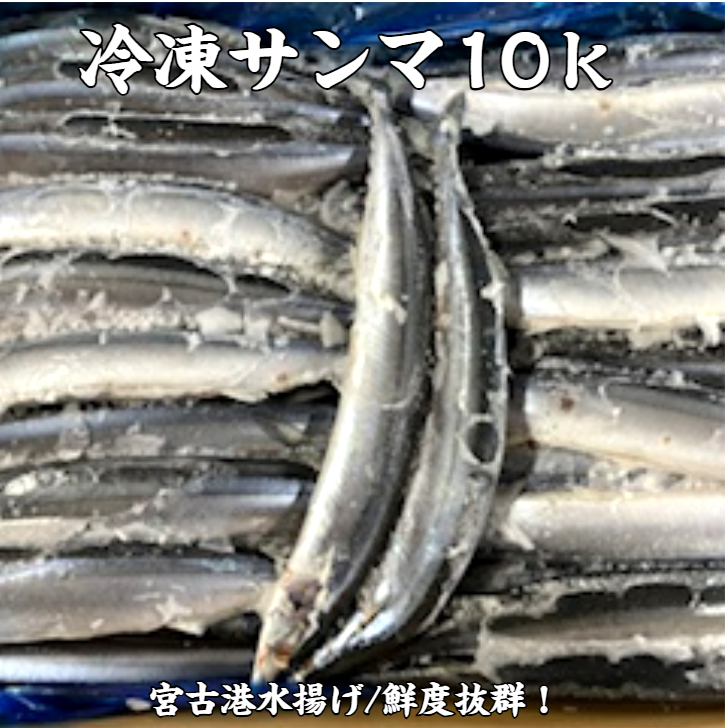冷凍サンマ10k（送料無料） 各サイズ業務用 | 三上商店