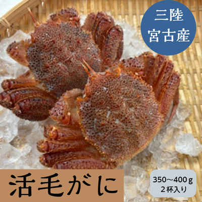 宮古産 活毛ガニ350~400g2杯セット/送料無料