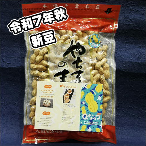 花生 松庵 茅ヶ崎市茶室・書院 松籟庵｜体験・観光スポット ｜【公式】神奈川県の