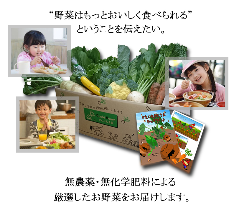 無農薬・無化学肥料の野菜セットの宅配＠ごんべえ農園