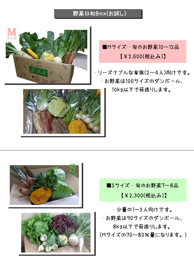 通常の野菜セット・野菜日和Box | ごんべえ農園の野菜宅配