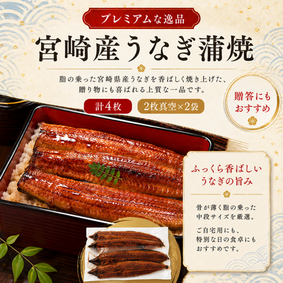 宮崎県産うなぎ蒲焼２枚&times;２袋（計４枚）