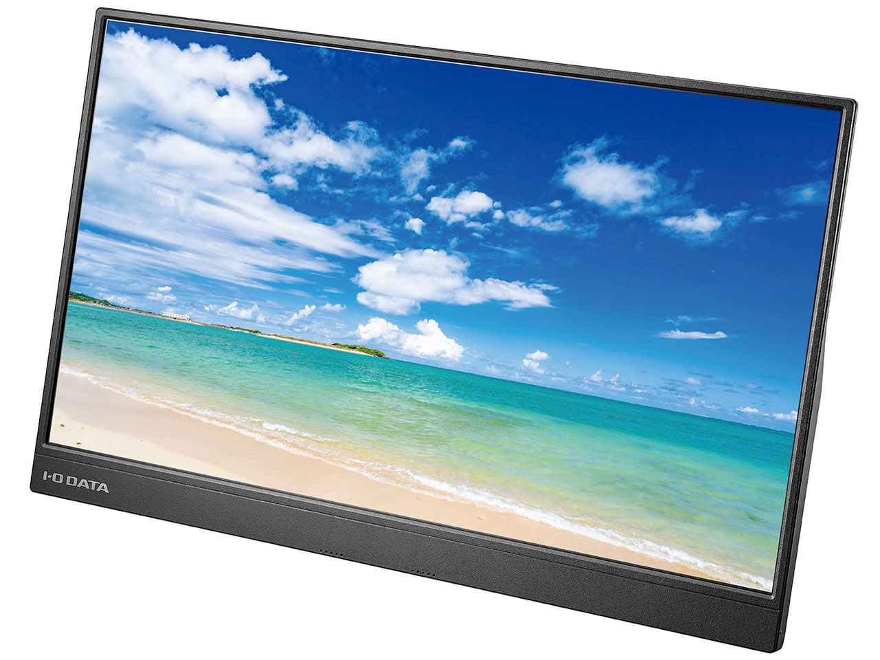 IO DATA LCD-CF161XDB-M [15.6インチ ブラック] | SystemPark