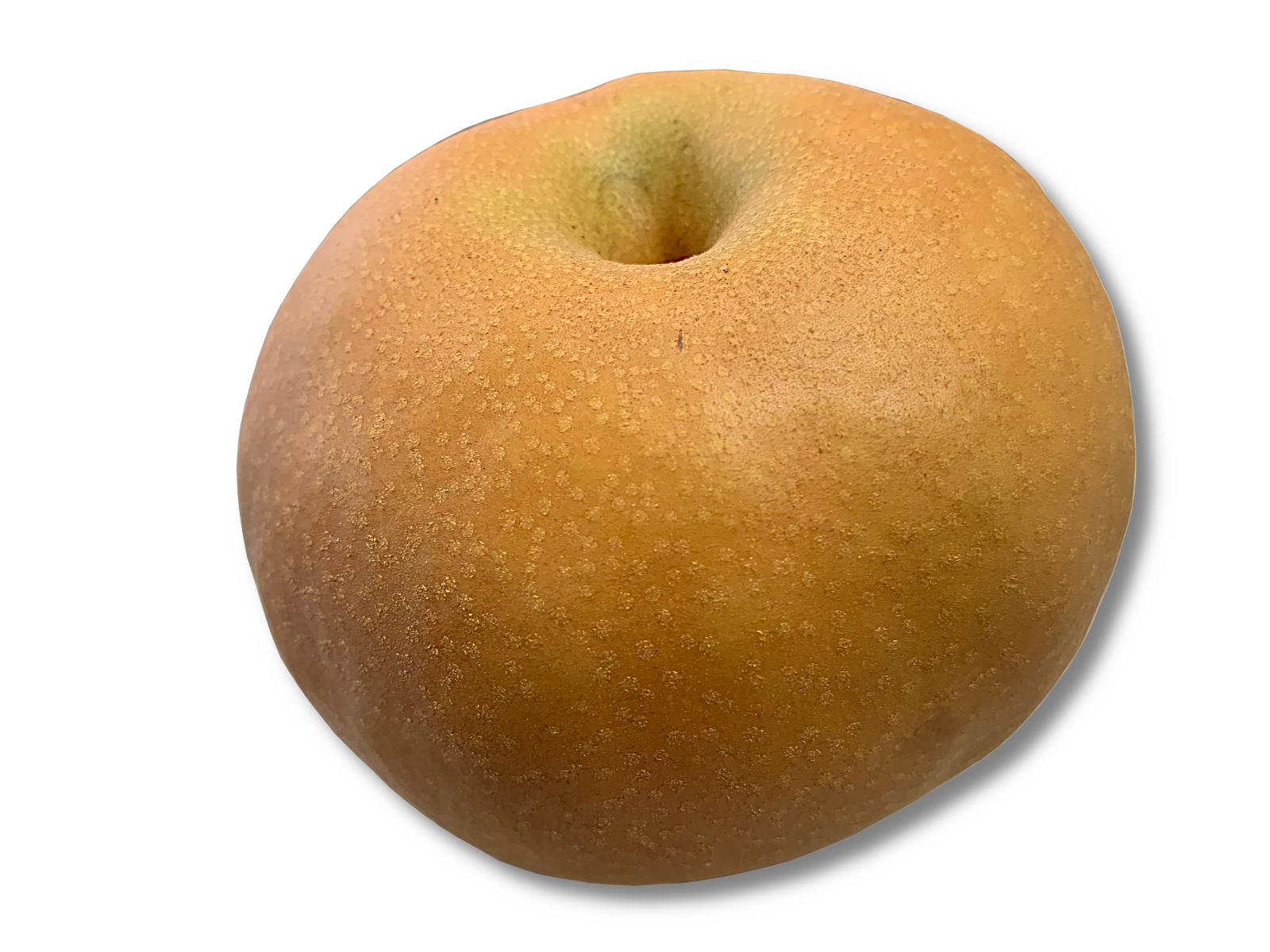 和梨 南水 自家用３kg 高丘フルーツ ｗｅｂ