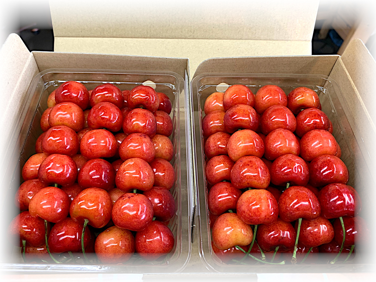 紅秀峰 PREMIUM 2Lサイズ 手詰め1Kg | 高丘フルーツ web