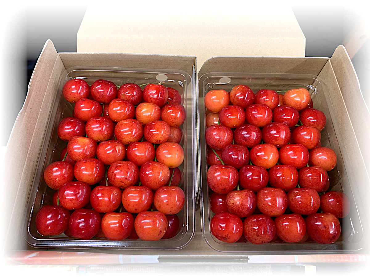 紅秀峰 PREMIUM Lサイズ 手詰め1Kg | 高丘フルーツ web