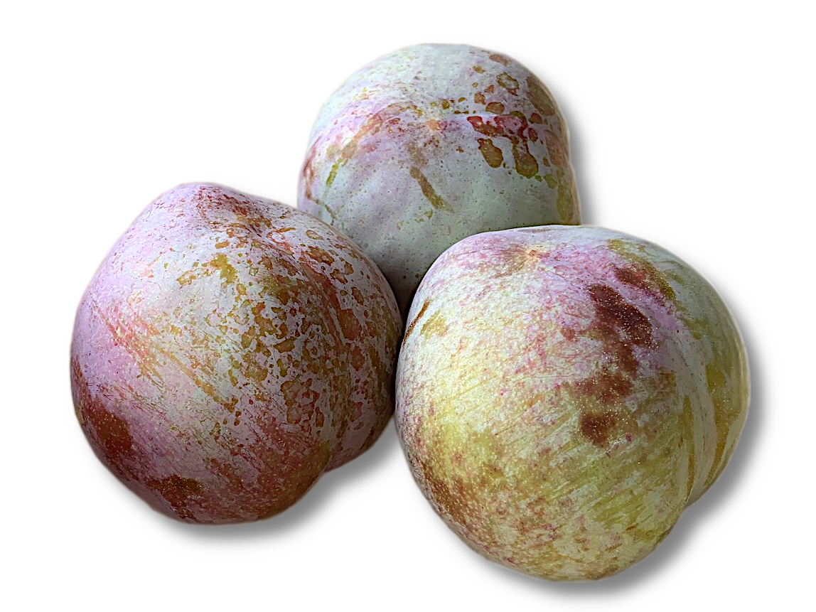 新鮮 プラム 紫と緑 多数 3キロ 新鮮 プラム 紫と緑 多数 3キロ