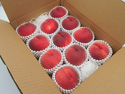 【中古】 新・食品衛生入門/自然の友社/高島嘉門 新・食品衛生入門 / 高島 嘉門 / 自然の友社-日本買い