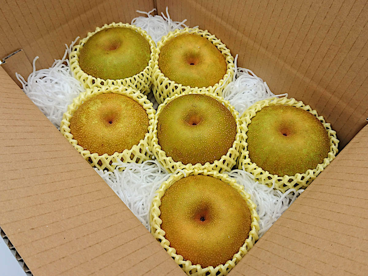和梨 幸水 自家用2Kg | 高丘フルーツ web