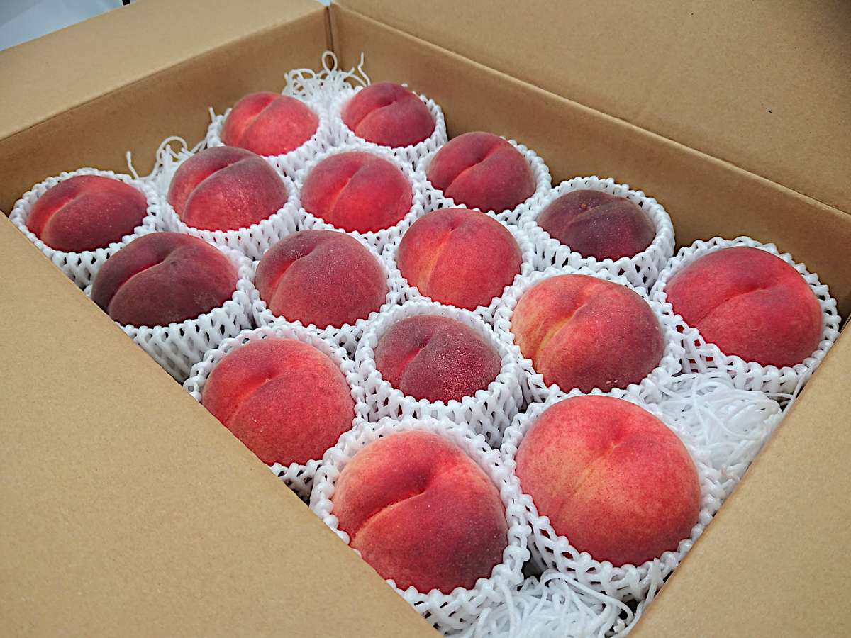 桃 川中島白桃 PREMIUM5Kg | 高丘フルーツ web