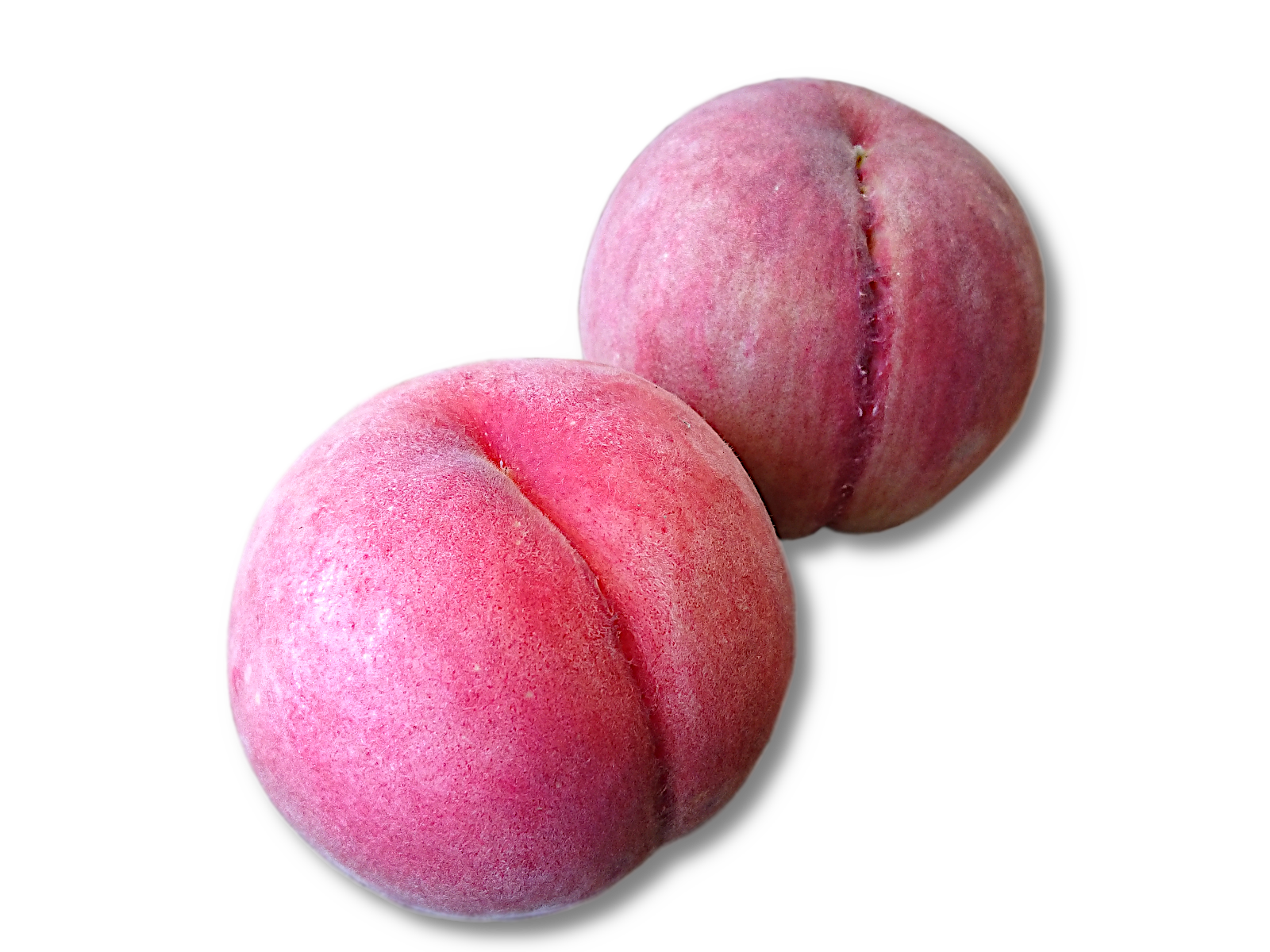 ディズニー様専用、川中島白桃＋べにばんか2種詰め5キロ