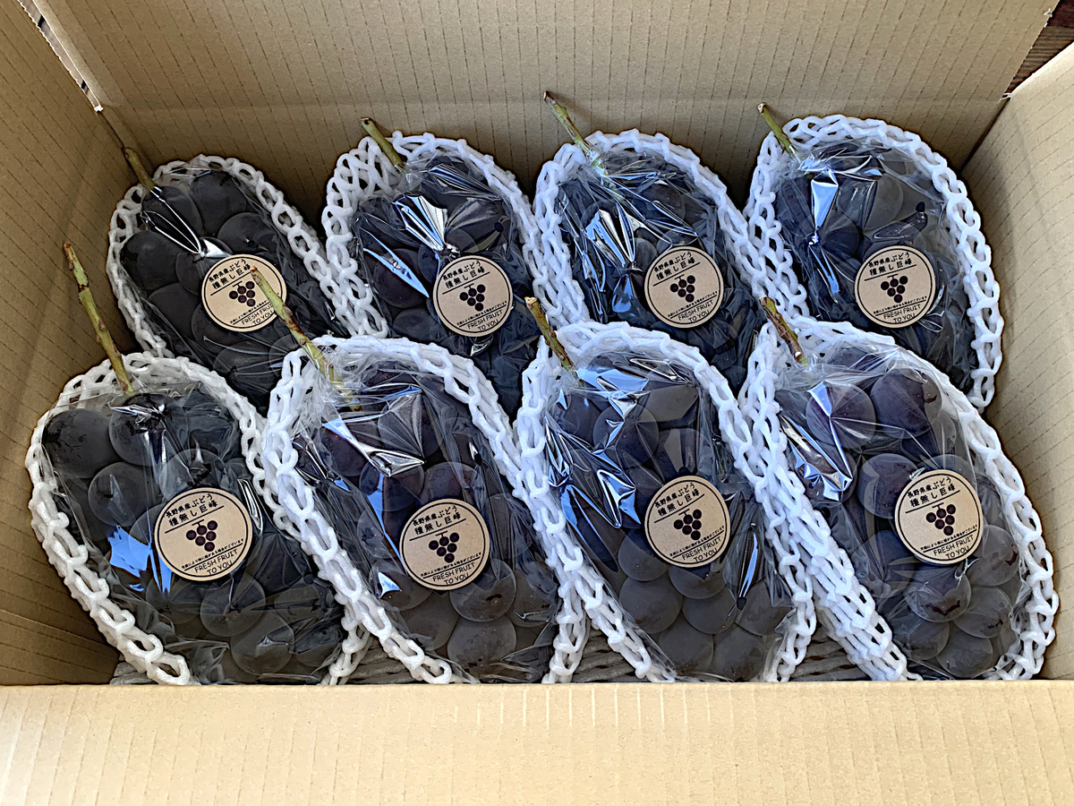 種無し巨峰 贈答用 秀品4Kg | 高丘フルーツ web