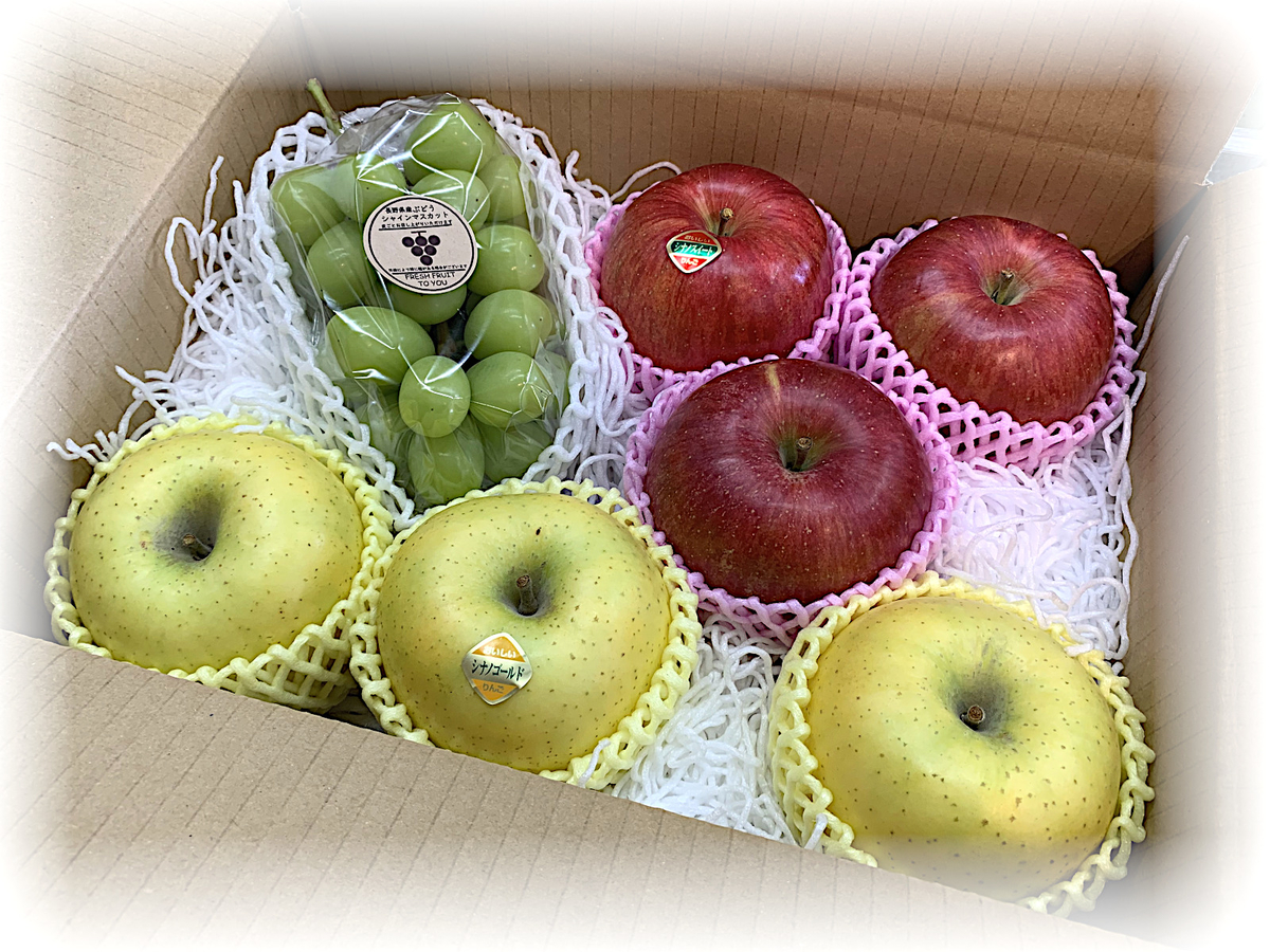 果樹5点セット 桃 りんご 葡萄 ブルーベリー ハスカップ ラズベリー