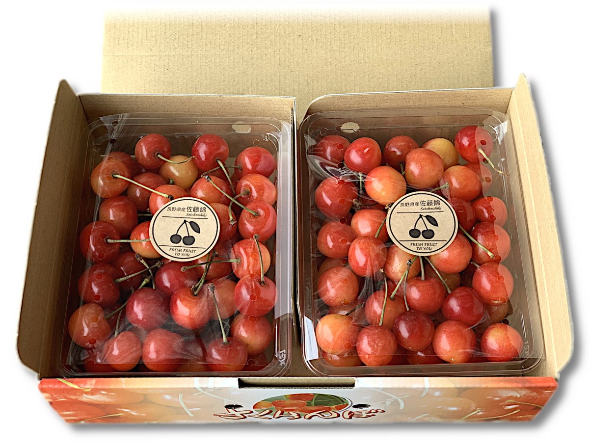 佐藤錦 秀品 2L～Lサイズ バラ詰め1Kg | 高丘フルーツ web