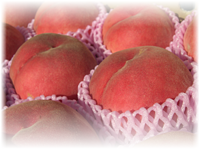 桃 川中島白桃 秀品2Kg | 高丘フルーツ web