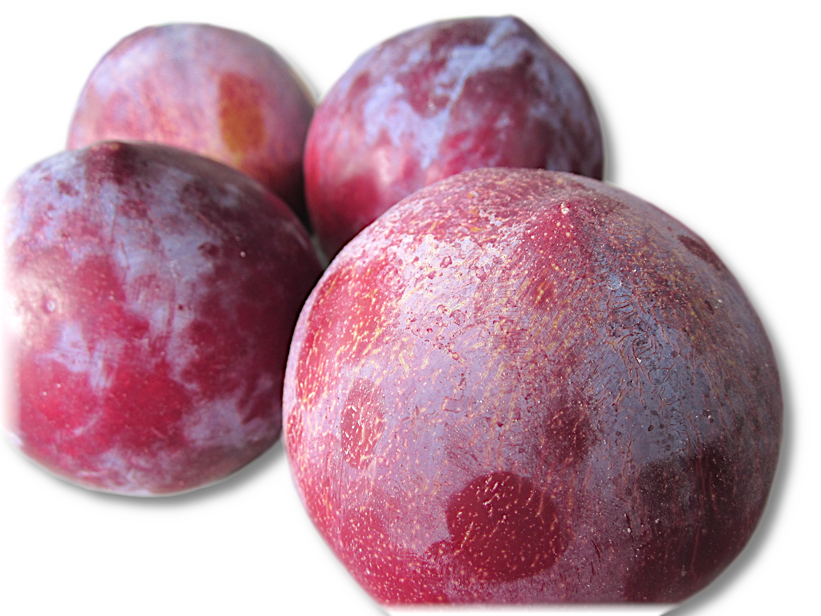 プラム「太陽」「ハリウッド」 プラム 太陽 秀品 5Kg | 高丘フルーツ web