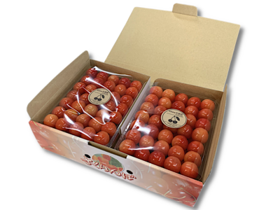 バラ詰め紅秀峰に２キロ クール便 クール便バラ詰め紅秀峰2kg （2024年6月発送】訳ありご家庭用