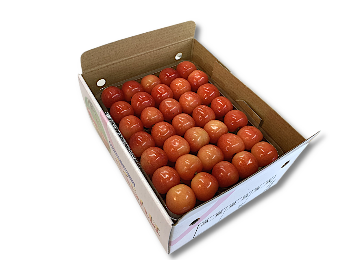 佐藤 🥒🥦kazumi.k38 on X: 