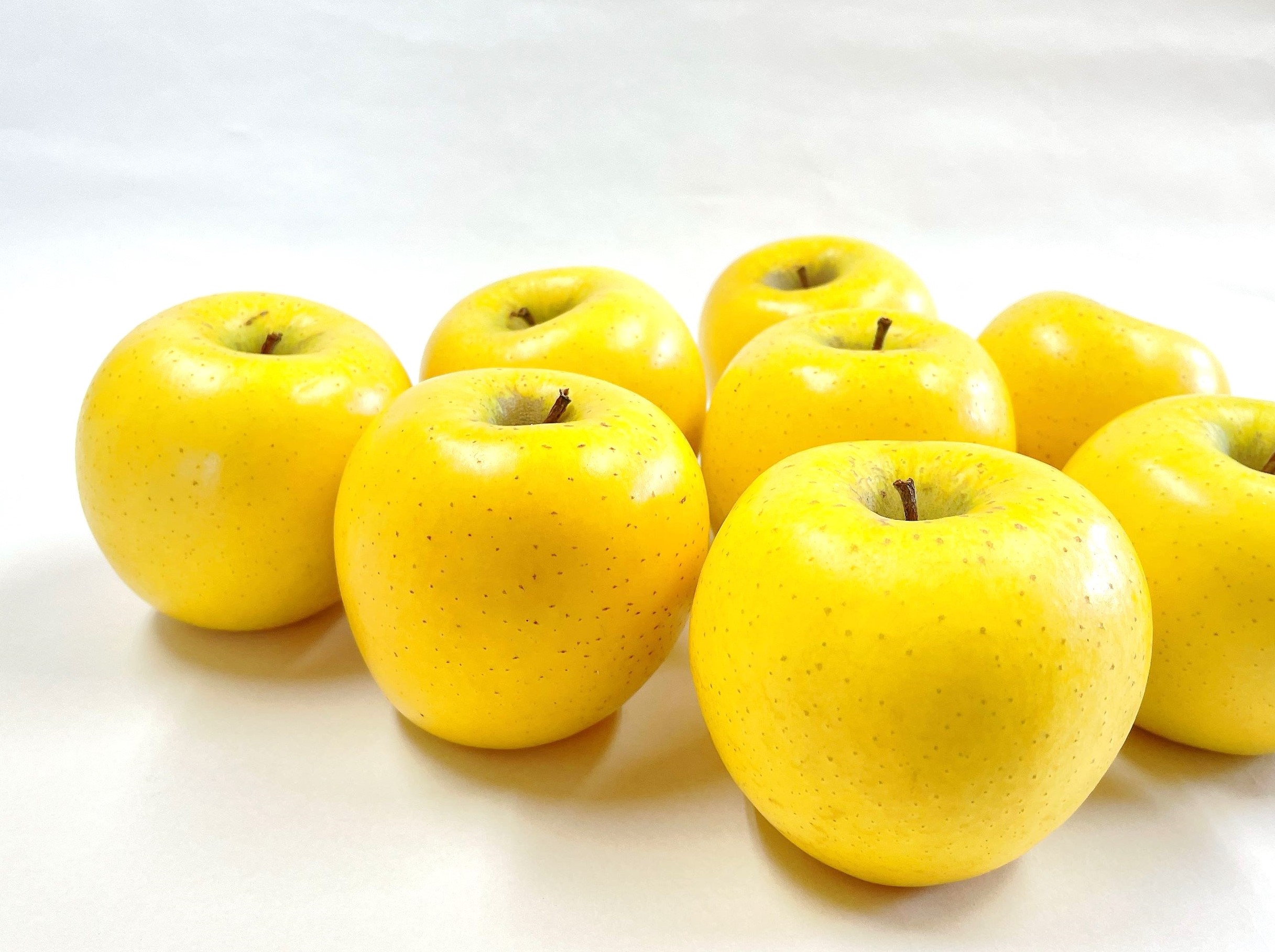 贈答用 シナノゴールド 3kg | ふじむら農園