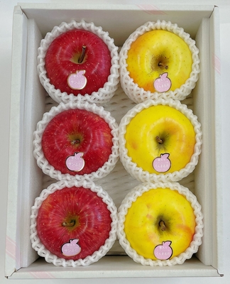 贈答用　サンふじぐんま名月セット　1.6ｋｇ