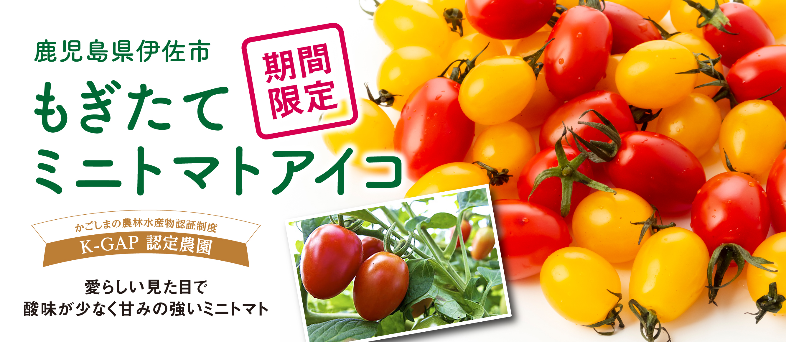 猩々農園オンラインストア
