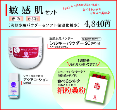 ルナレーナ オンライン
