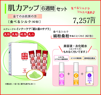 ルナレーナ オンライン