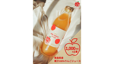 青森県産りんご100%丸搾り 3種類ミックス12本入り