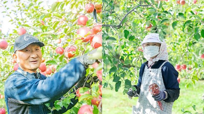 青森県産 果汁100％「りんごジュース」2本入り(1,000ml×2本
