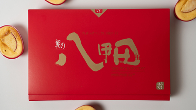 朝の八甲田津軽りんご 10個入