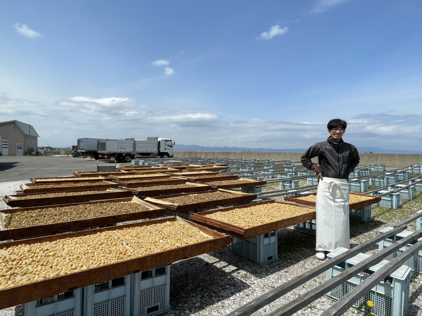 青森むつ湾産ほたて干貝柱 450g 木箱入り | RABオンライン