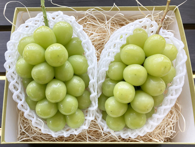 きたーーーー‼️残りわずか‼️バツグンビックシャインマスカット3房6980円27 シャインマスカット” 秀品 10pc 約3.5kg 産地厳選 パック入り