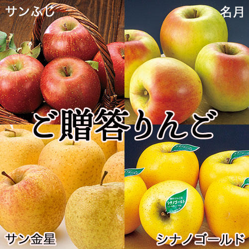 贈答(ｻﾝふじ、名月、サン金星、ｼﾅﾉｺﾞｰﾙﾄﾞ）