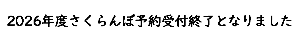 2026年さくらんぼ予約受付終了となりました