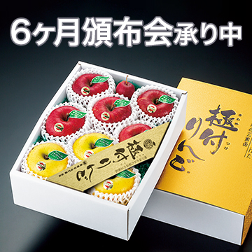 6ヶ月コース