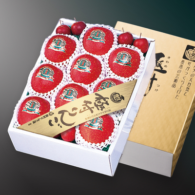 江刺産 極付りんご［蜜入り・サンふじ］【秀品選抜品】