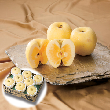 訳あり ご自宅用 プレミアムはるか冬恋 田村りんご店