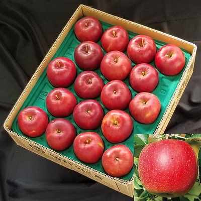 訳ありサンふじ(ご自宅用)