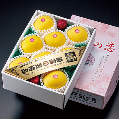 [高糖度・はるか] 春香の恋 [最高の芸術品] 糖度18度以上