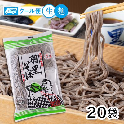 城北麺工 山形 太打ちそば 220g×20袋 | はぐろ庵ネットショップ