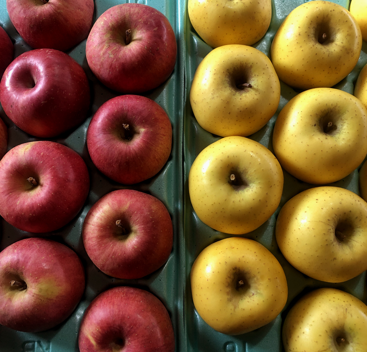 サンふじ & シナノゴールド