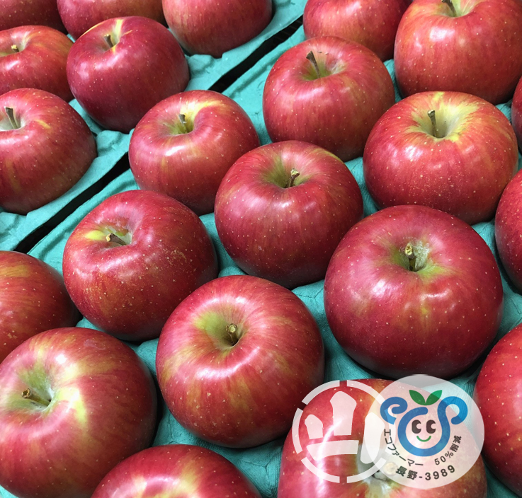 春のシナノスイート